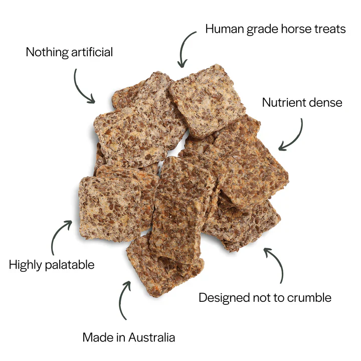 CuraHorse Nothing Naughty Horse Treats - Image 3