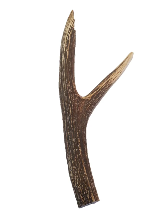 Deer Antlers Dog Treats - Image 2