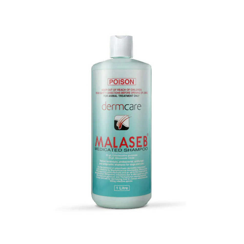 Dermcare Malaseb Medicated Shampoo - Image 2