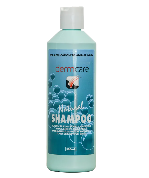 Dermcare Natural Shampoo - Image 4