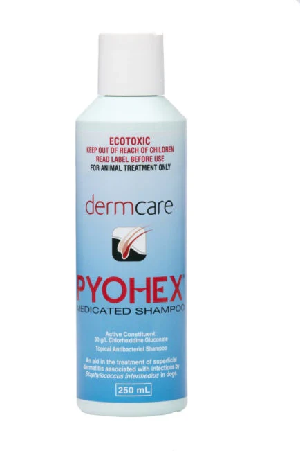 Dermcare Pyohex Medicated Shampoo - Image 3