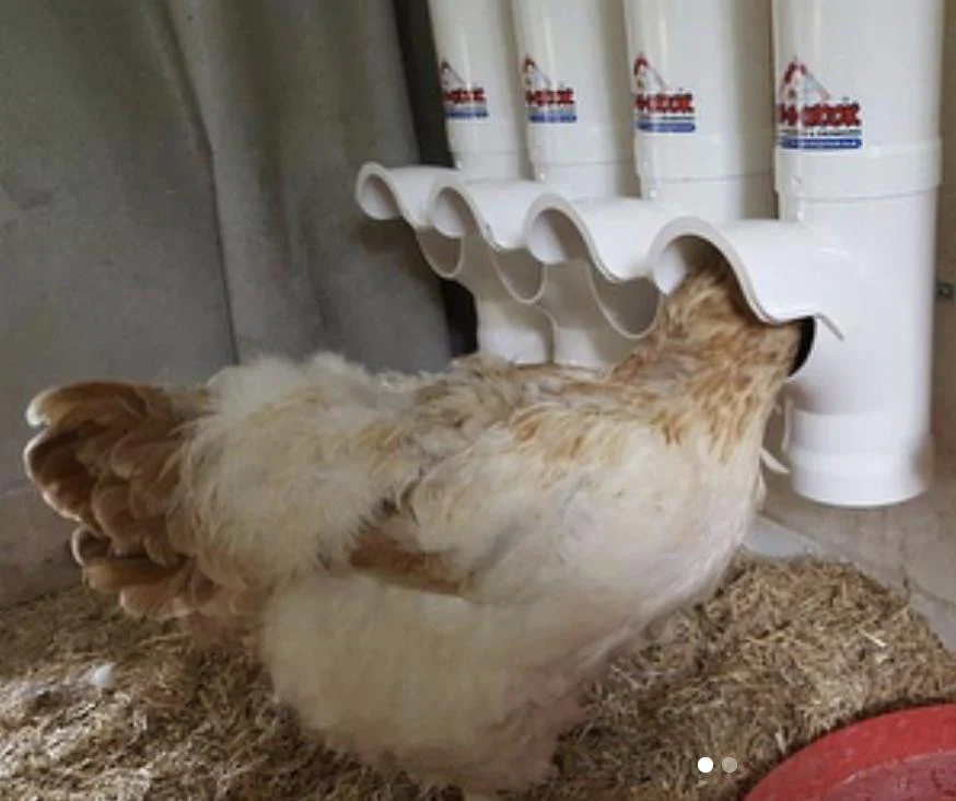 Dine A Chook Poultry Feeder 3.5L - Image 2