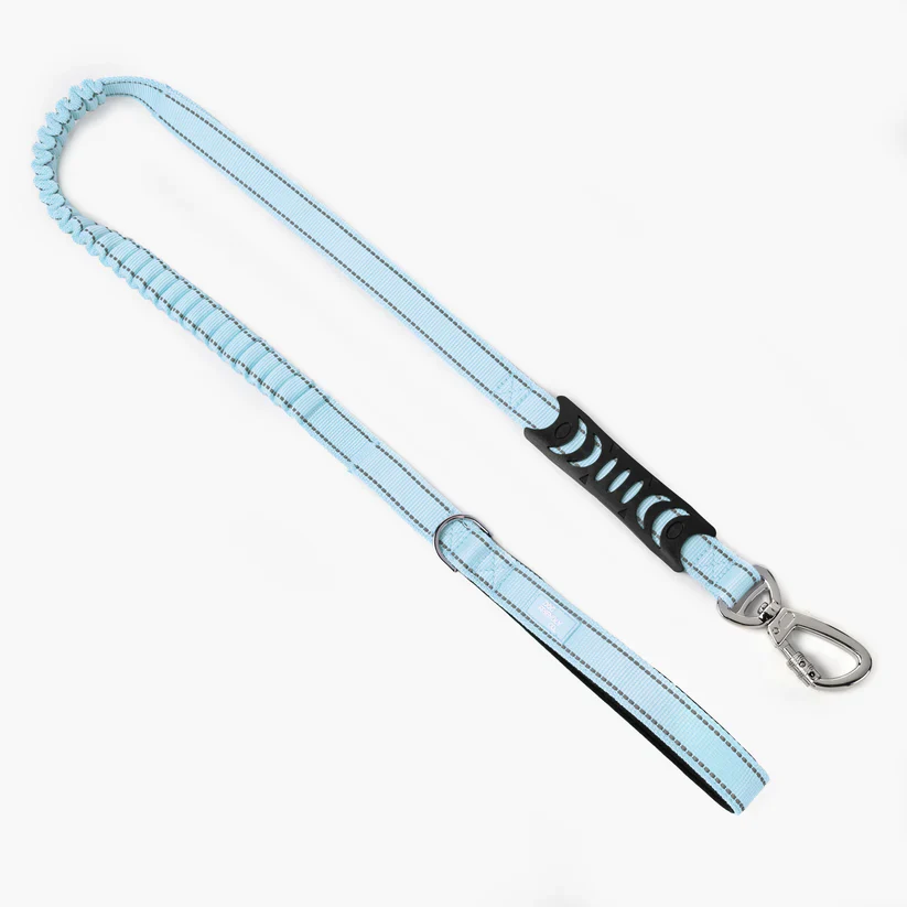 Dog Friendly Co Bungee Dog Leash - Image 17