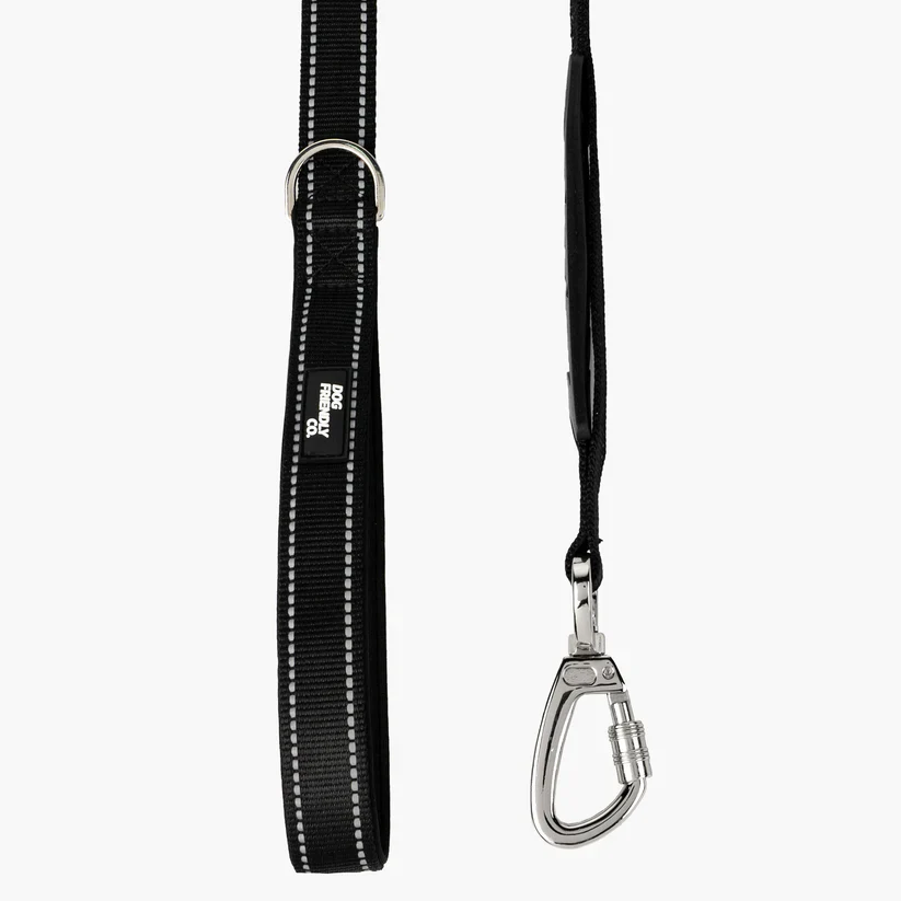 Dog Friendly Co Bungee Dog Leash - Image 2