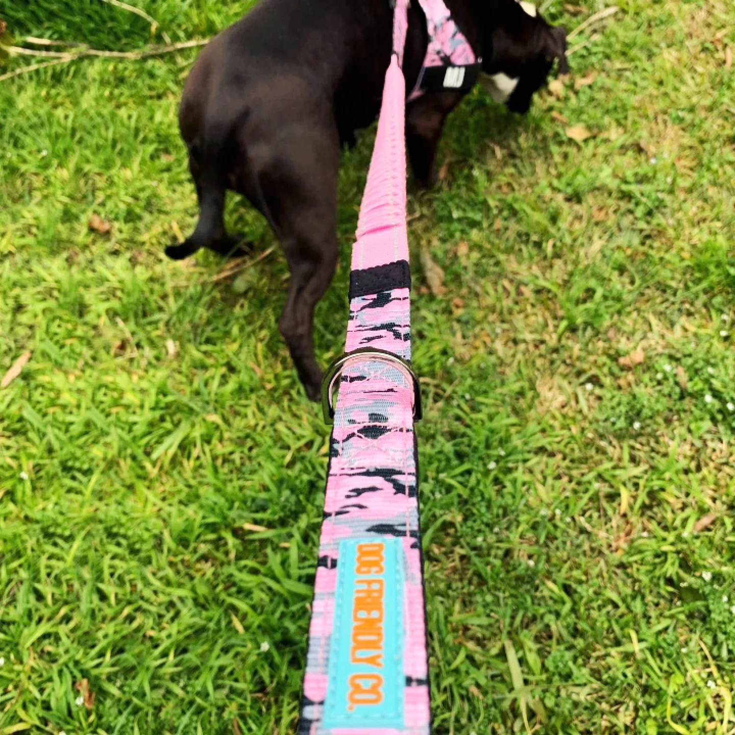 Dog Friendly Co Bungee Dog Leash - Image 6