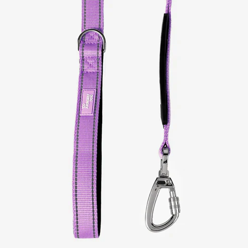 Dog Friendly Co Classic Dog Leash - Image 12