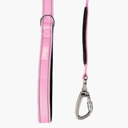 Dog Friendly Co Classic Dog Leash - Image 9