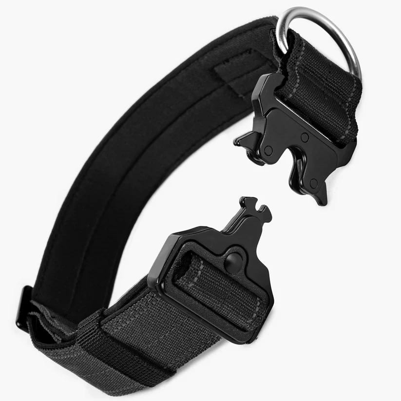 Dog Friendly Co Tactical Dog Collar - Image 2