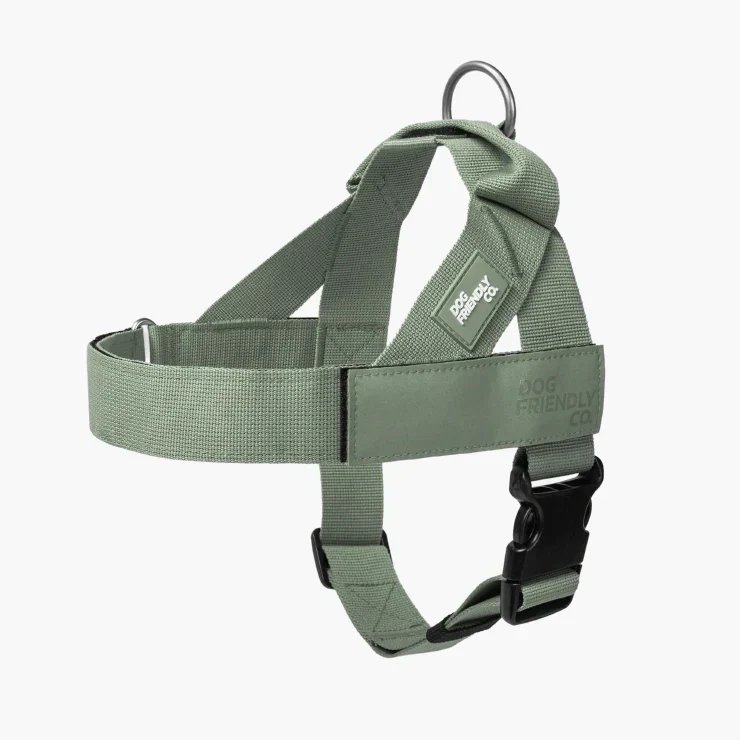 Dog Friendly Co Dog Lovers Pack - Khaki - Image 2