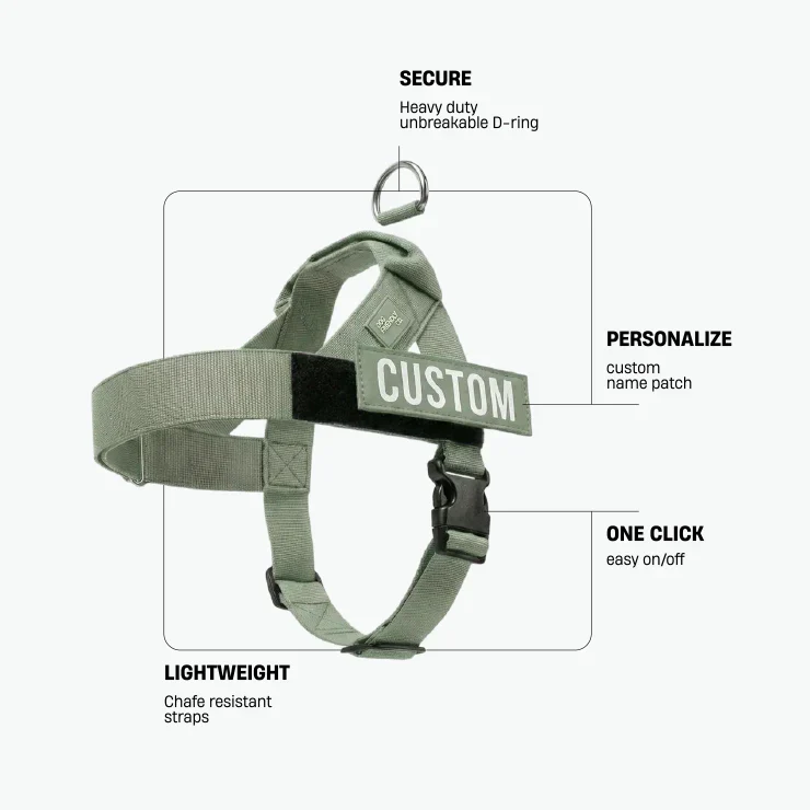 Dog Friendly Co Dog Lovers Pack - Khaki - Image 3