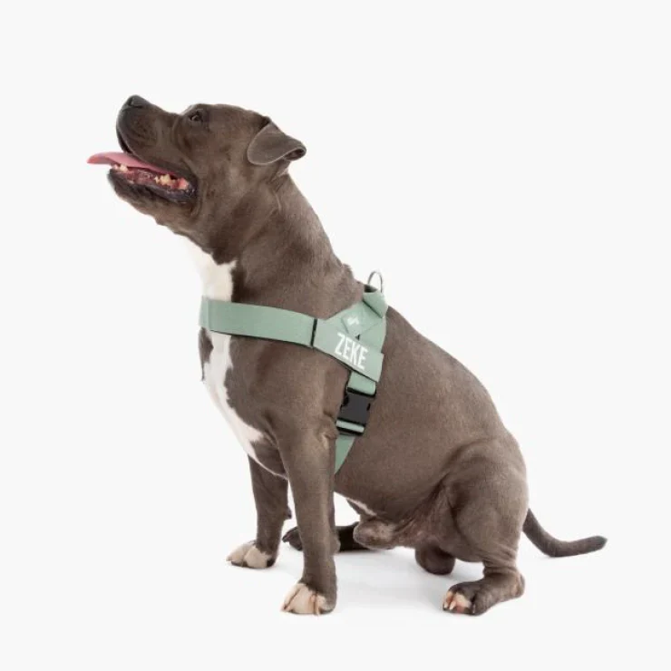 Dog Friendly Co Dog Lovers Pack - Khaki - Image 4