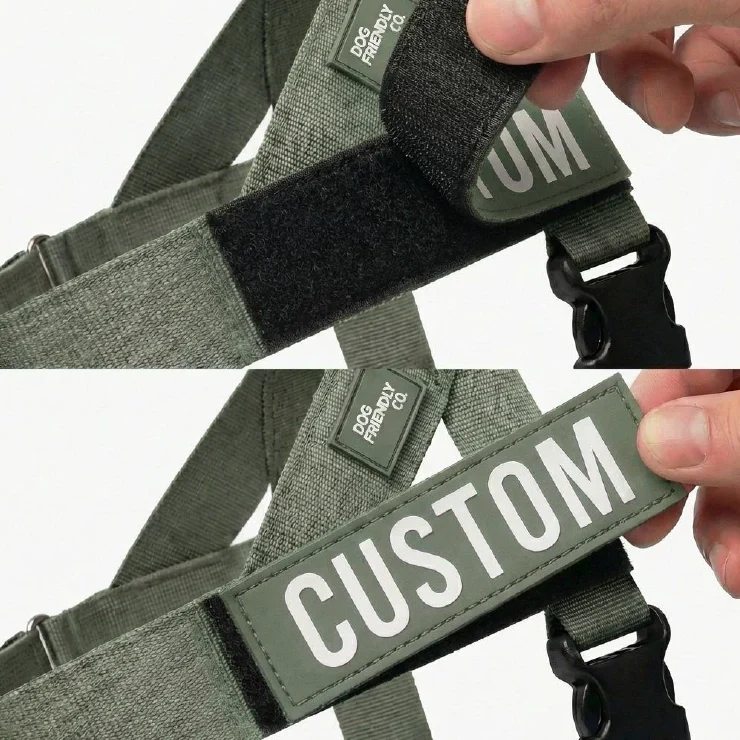 Dog Friendly Co Custom Name Patch - Image 2