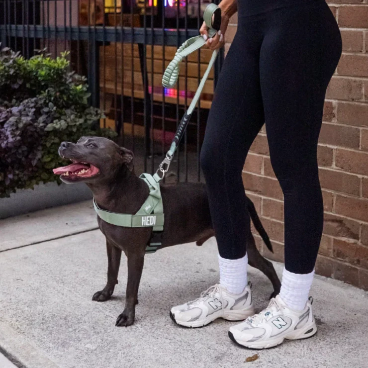Dog Friendly Co Dog Lovers Pack - Khaki - Image 9