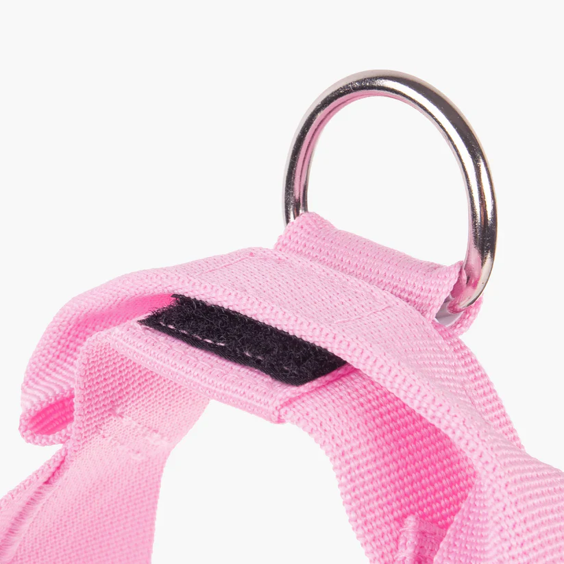 Dog Friendly Co Dog Lovers Pack - Pink - Image 10