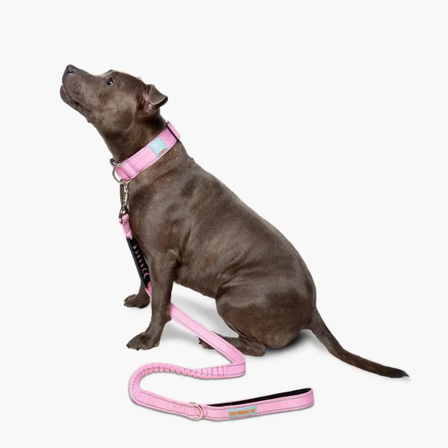 Dog Friendly Co Dog Lovers Pack - Pink - Image 13