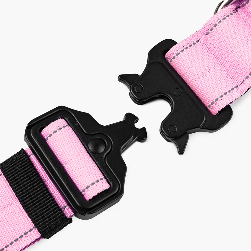 Dog Friendly Co Dog Lovers Pack - Pink - Image 14