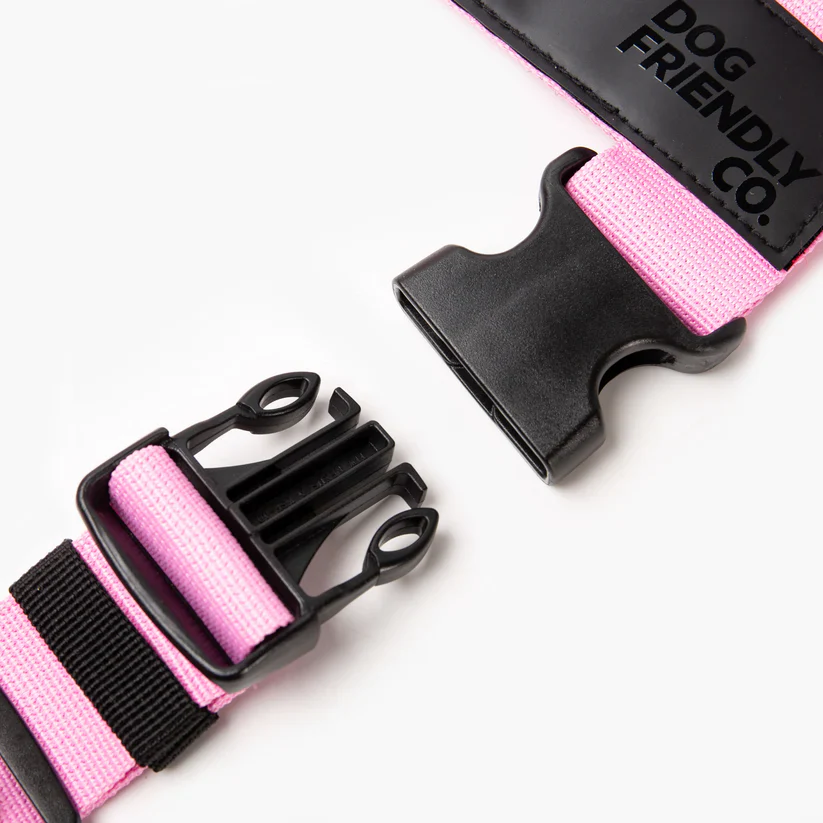 Dog Friendly Co Dog Lovers Pack - Pink - Image 15
