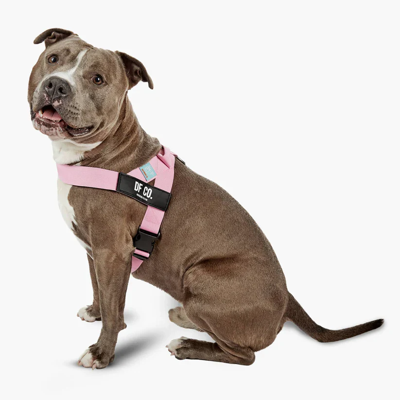 Dog Friendly Co Dog Lovers Pack - Pink - Image 17