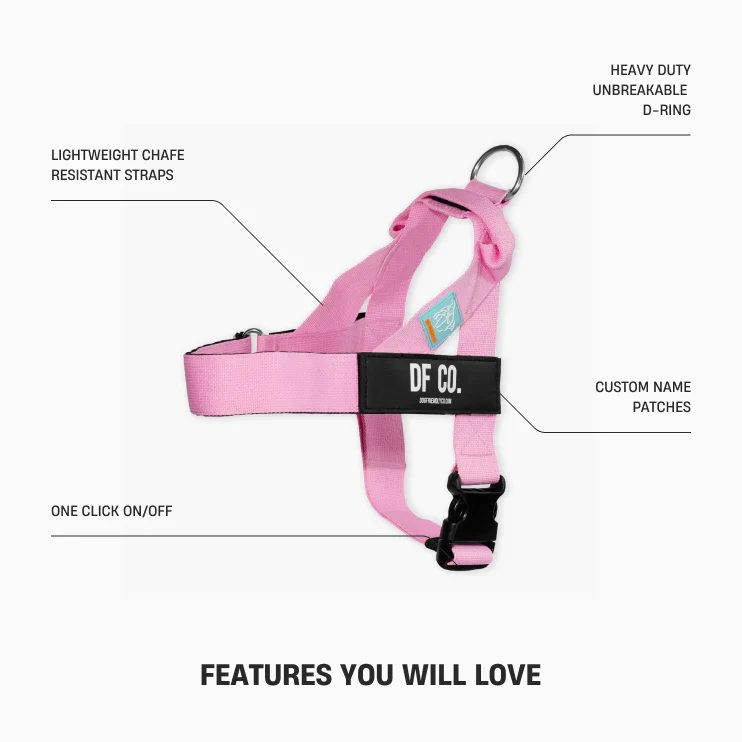 Dog Friendly Co Dog Lovers Pack - Pink - Image 2