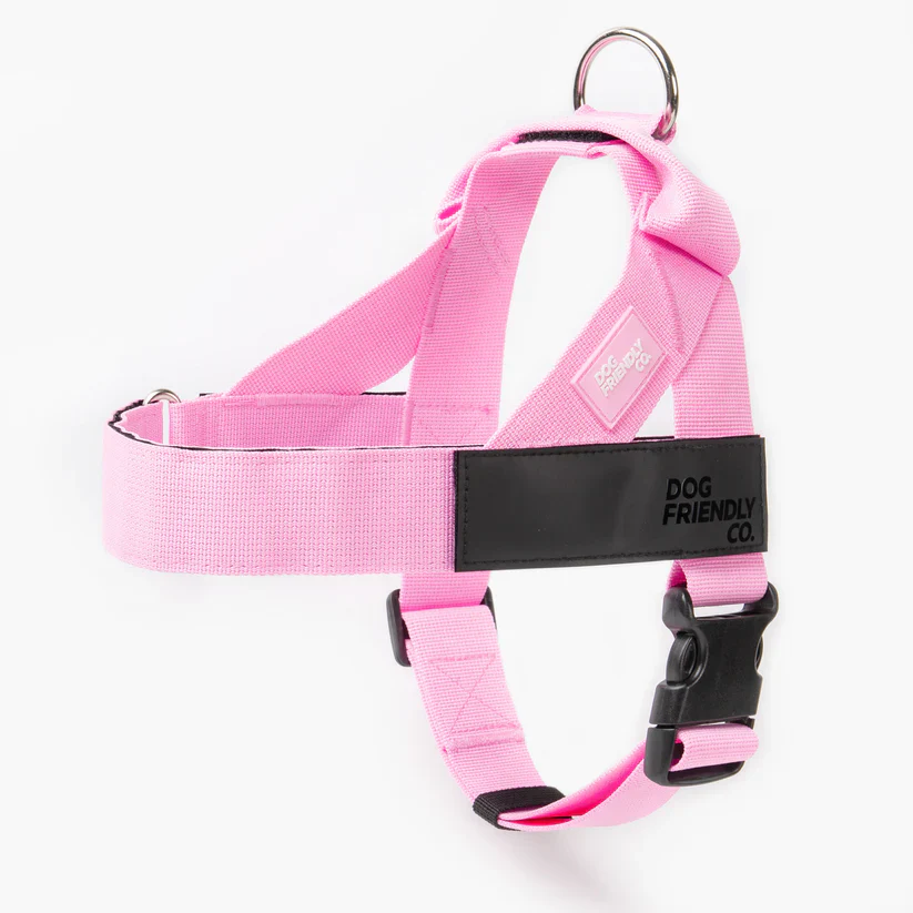 Dog Friendly Co Dog Lovers Pack - Pink - Image 3