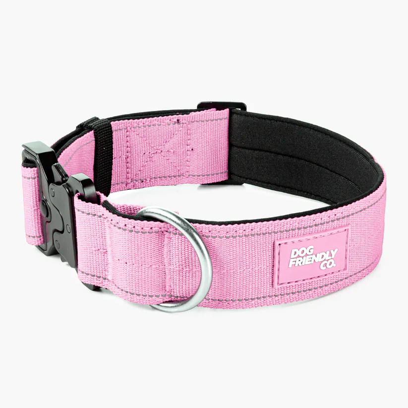 Dog Friendly Co Dog Lovers Pack - Pink - Image 4