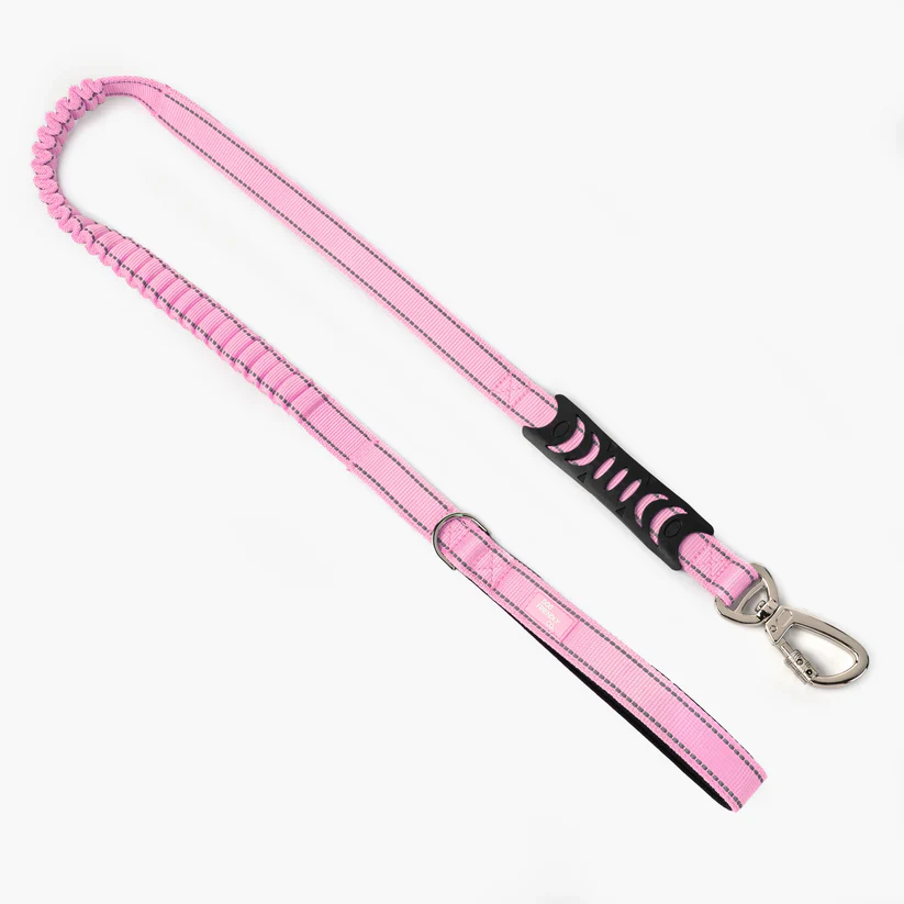 Dog Friendly Co Dog Lovers Pack - Pink - Image 5