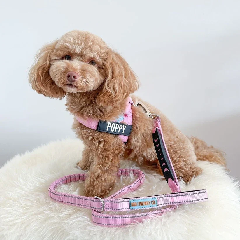 Dog Friendly Co Custom Name Patch - Image 6