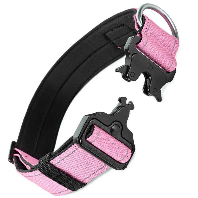 Dog Friendly Co Dog Lovers Pack - Pink - Image 8