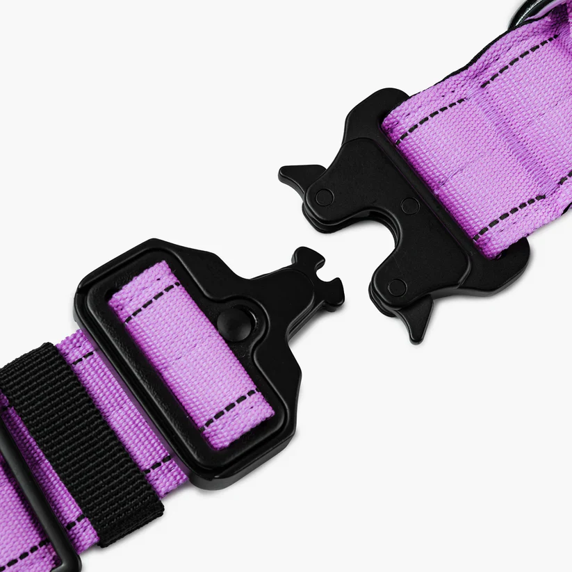 Dog Friendly Co Tactical Dog Collar - Image 12