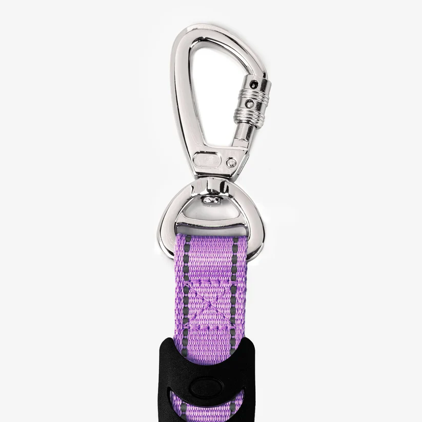 Dog Friendly Co Bungee Dog Leash - Image 16