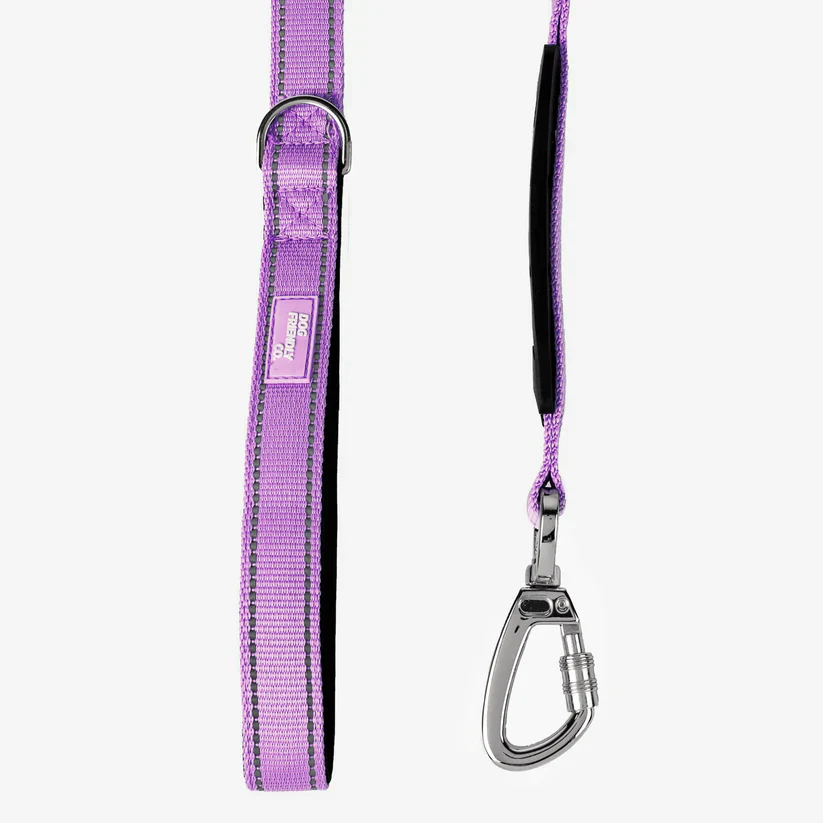 Dog Friendly Co Bungee Dog Leash - Image 13