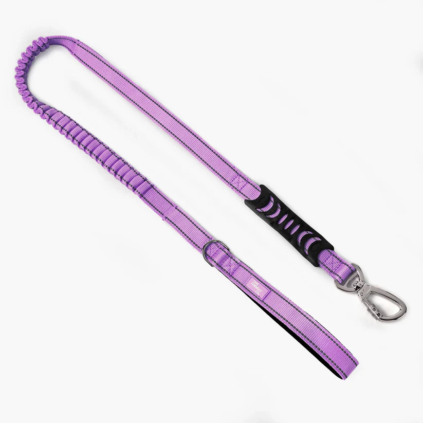 Dog Friendly Co Bungee Dog Leash - Image 12