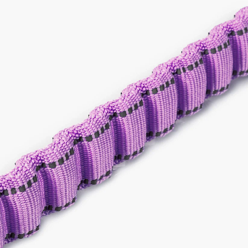Dog Friendly Co Bungee Dog Leash - Image 15