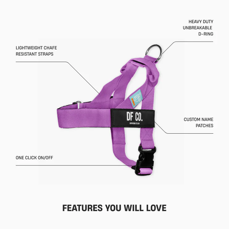 Dog Friendly Co Dog Lovers Pack - Purple - Image 2