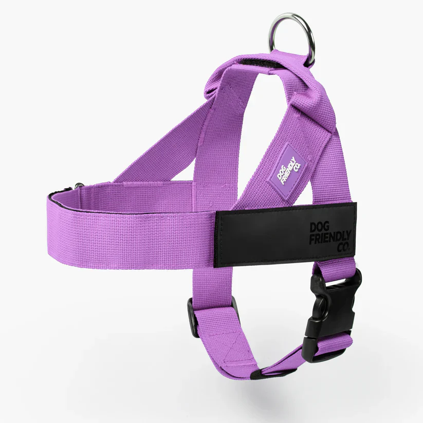 Dog Friendly Co Dog Lovers Pack - Purple - Image 3