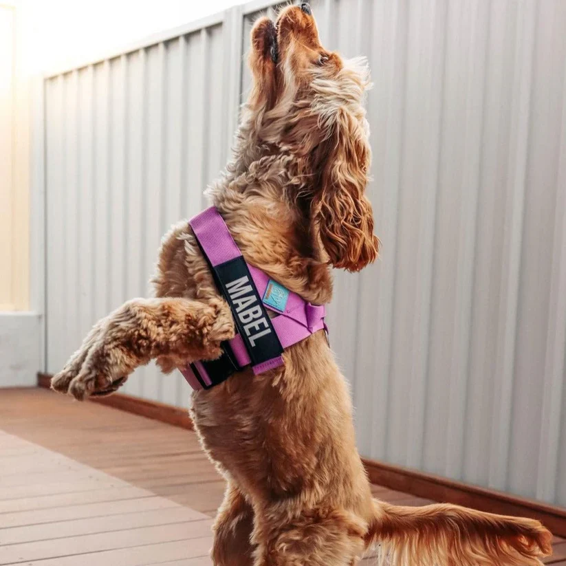Dog Friendly Co Custom Name Patch - Image 5