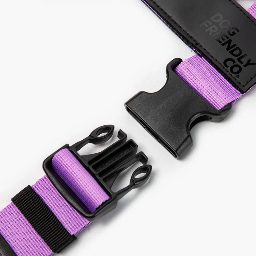 Dog Friendly Co Dog Lovers Pack - Purple - Image 8