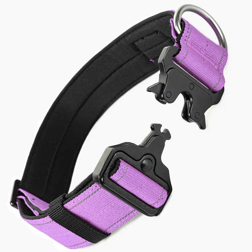 Dog Friendly Co Tactical Dog Collar - Image 10