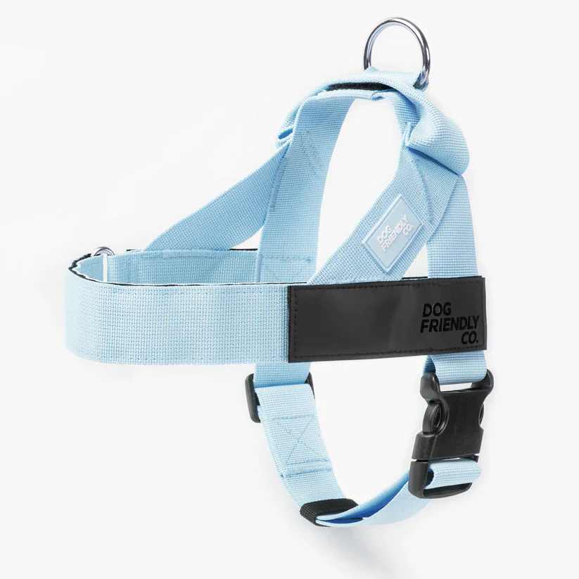 Dog Friendly Co Dog Lovers Pack - Sky Blue - Image 10