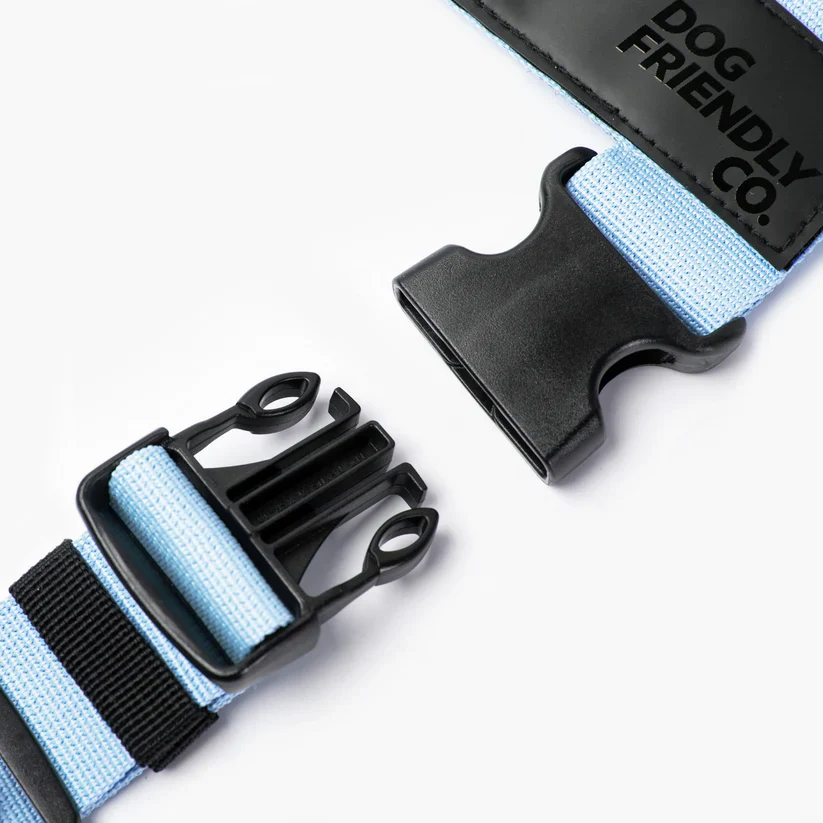 Dog Friendly Co Dog Lovers Pack - Sky Blue - Image 11