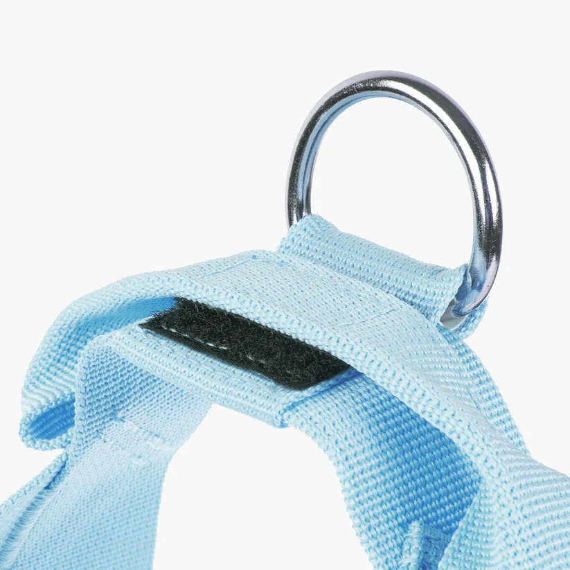 Dog Friendly Co Dog Lovers Pack - Sky Blue - Image 12