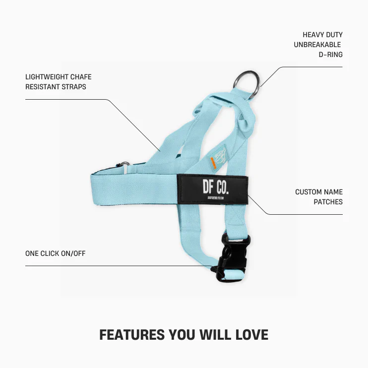 Dog Friendly Co Dog Lovers Pack - Sky Blue - Image 13