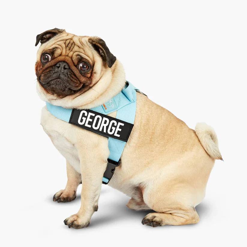 Dog Friendly Co Custom Name Patch - Image 4