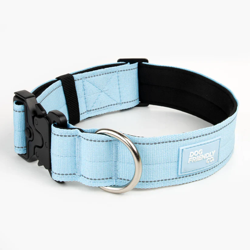 Dog Friendly Co Dog Lovers Pack - Sky Blue - Image 6