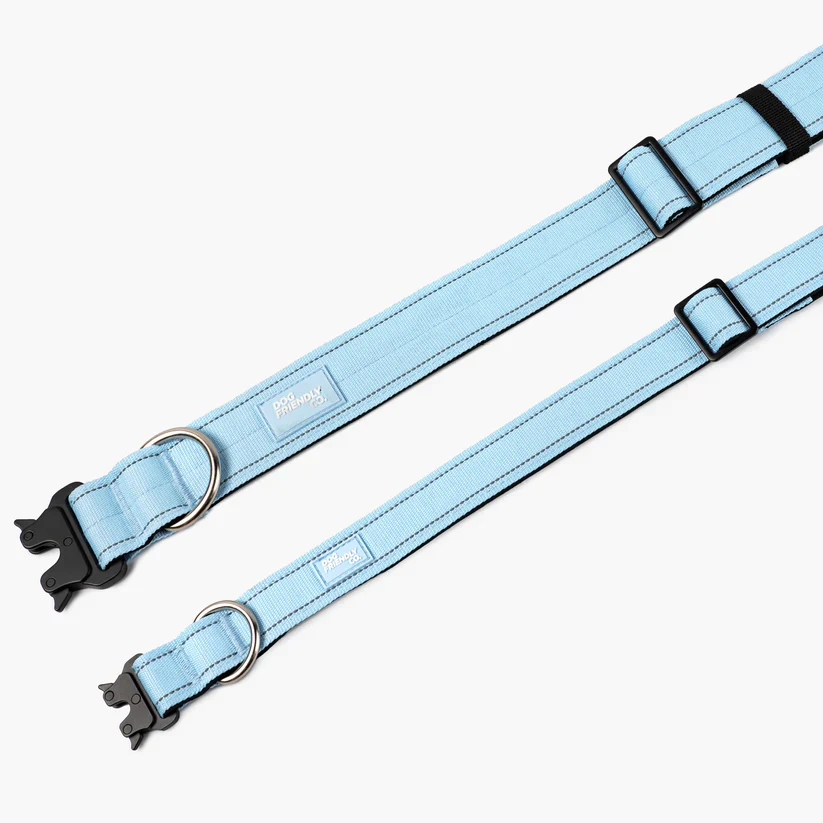 Dog Friendly Co Dog Lovers Pack - Sky Blue - Image 7