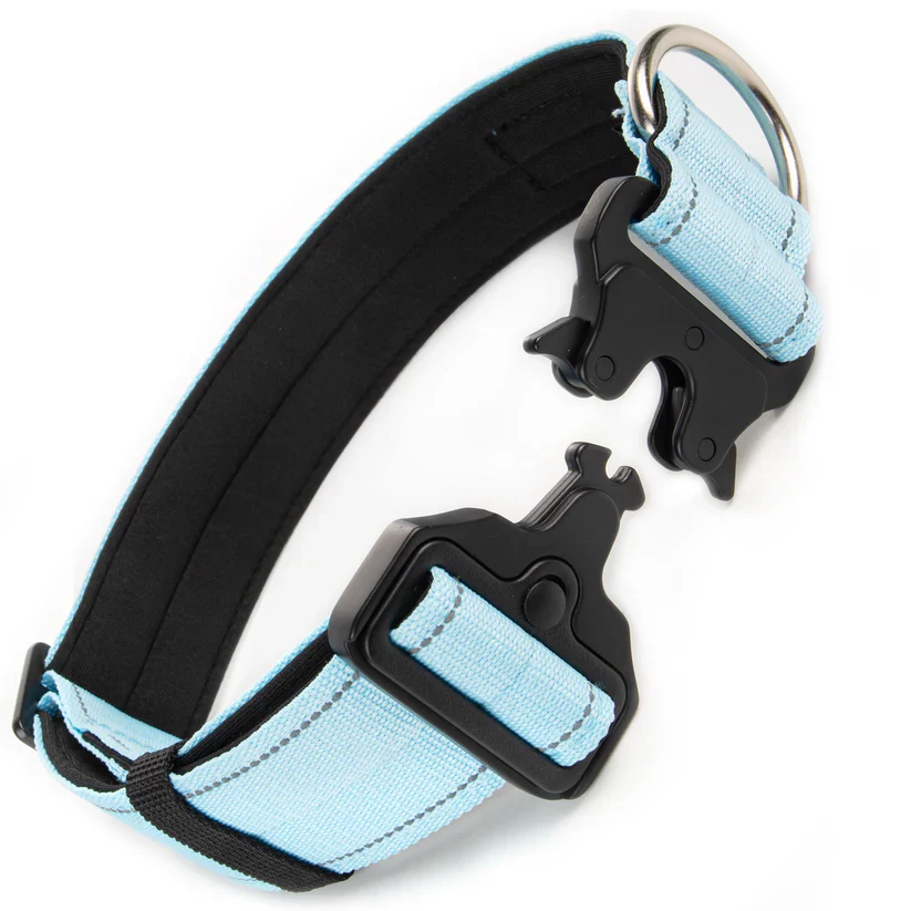 Dog Friendly Co Dog Lovers Pack - Sky Blue - Image 9