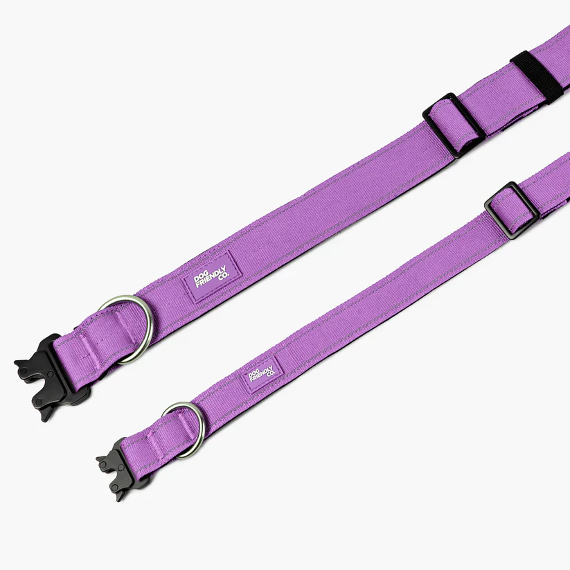 Dog Friendly Co Tactical Dog Collar - Image 11