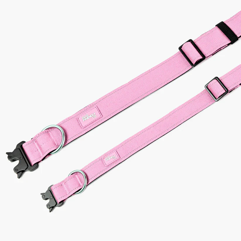 Dog Friendly Co Tactical Dog Collar - Image 8