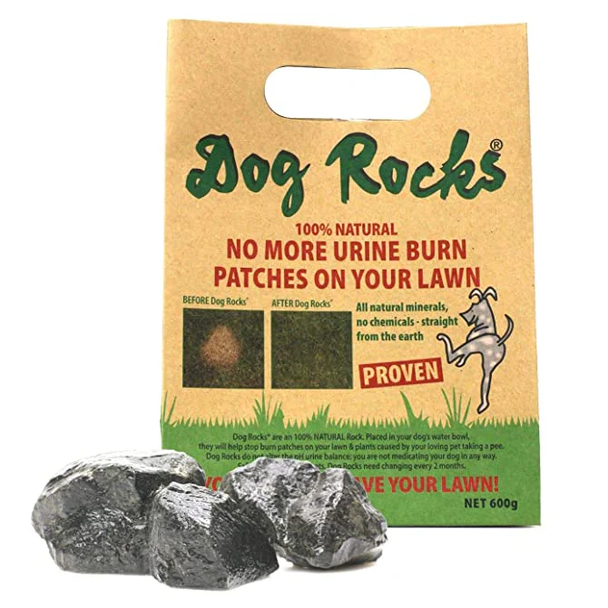 Dog Rocks - Image 4