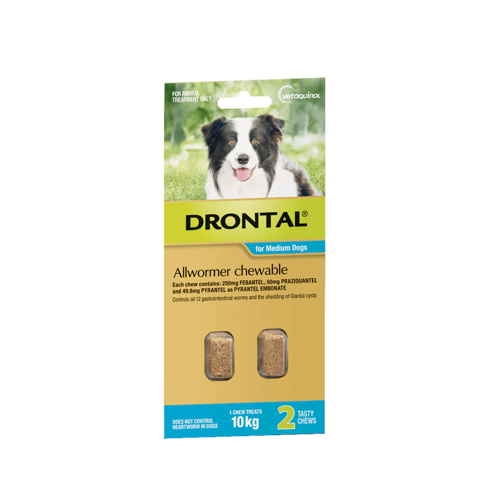 Drontal Allwormer Chewables 10kg Medium Dogs - Image 2